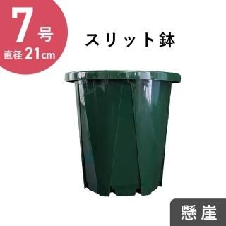 7楹åȭסʥ꡼Τߡľ21cm