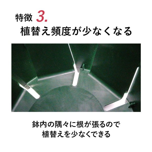 10号スリット鉢 懸崖タイプ（グリーン）直径30cm - 花実樹～果樹と