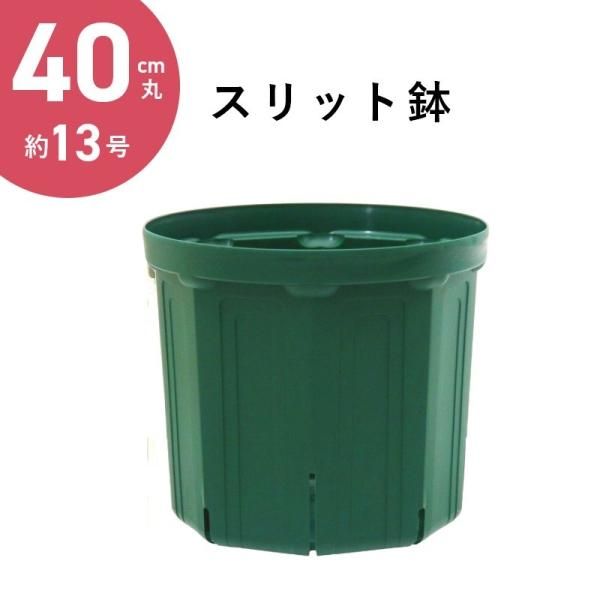 40cm丸スリット鉢 13号 直径40cm モスグリーンのみ Csm 400 花実樹 果樹とガーデニングの専門店 40cm丸スリット鉢 13号 直径40cm モスグリーンのみ Csm 400 花実樹 果樹とガーデニングの専門店