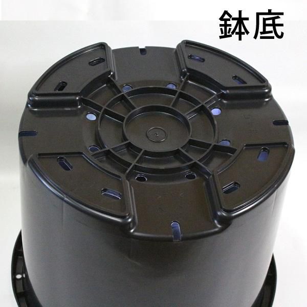 100リットル鉢 Npポット 直径65cm 21号鉢相当 大型 植木鉢 プラ鉢 100 Dic 花実樹 果樹とガーデニングの専門店 100リットル鉢 Npポット 直径65cm 21号鉢相当 大型 植木鉢 プラ鉢 100 Dic 花実樹 果樹とガーデニングの専門店