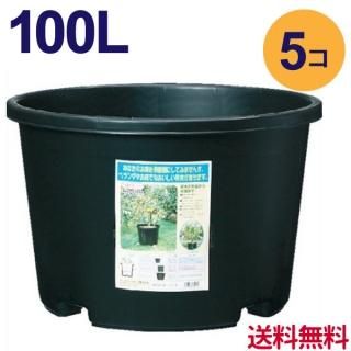 大型プラスチック鉢 花実樹 果樹とガーデニングの専門店 大型プラスチック鉢 花実樹 果樹とガーデニングの専門店