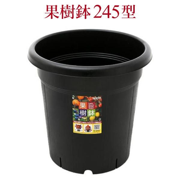 果樹鉢245型 直径24.5cm 約8号 スリット機能 - 花実樹～果樹と