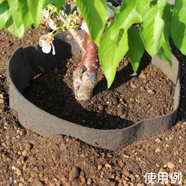 不織布ポット Jマスターk15 布鉢 直径15cm 深さ19cm 根域制限 10枚セット 花実樹 果樹とガーデニングの専門店 不織布ポット Jマスターk15 布鉢 直径15cm 深さ19cm 根域制限 10枚セット 花実樹 果樹とガーデニングの専門店