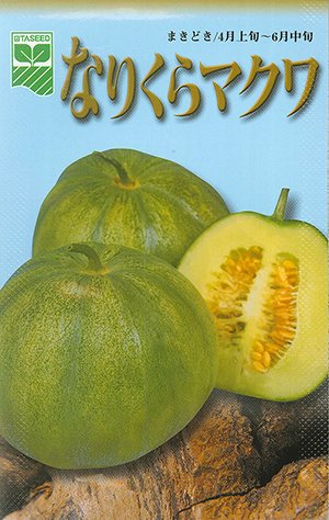 近江野菜　なりくらマクワ - 家庭de菜園～うぇぶたねやさん～