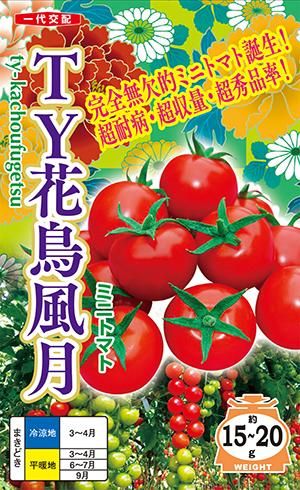 ty花鳥風月 かちょうふうげつ 家庭de菜園 うぇぶたねやさん ty花鳥風月 かちょうふうげつ 家庭de菜園 うぇぶたねやさん