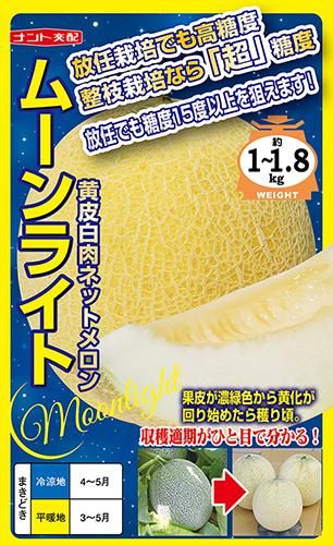 ムーンライト 超高糖度放任栽培メロン 家庭de菜園 うぇぶたねやさん