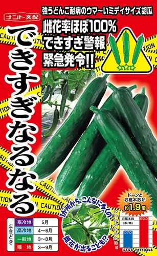 できすぎなるなる 超多収ミディ胡瓜 家庭de菜園 うぇぶたねやさん