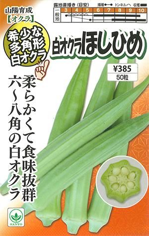 白オクラ ほしひめ 家庭de菜園 うぇぶたねやさん