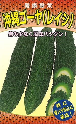 沖縄中長苦瓜 沖縄ゴーヤ 家庭de菜園 うぇぶたねやさん