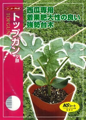 カンキツは接ぎ木が基本です | キトロロギストXの記録