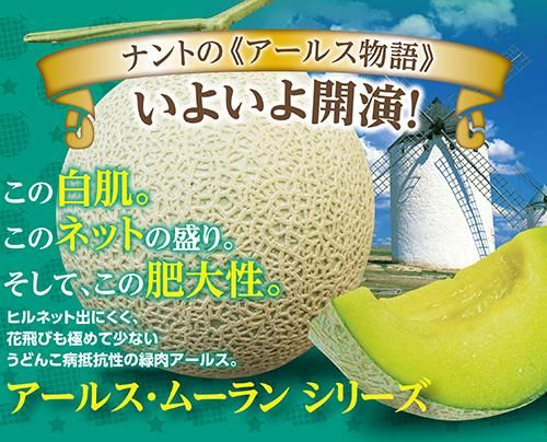 アールス ムーラン夏 夏2型 家庭de菜園 うぇぶたねやさん アールス ムーラン夏 夏2型 家庭de菜園 うぇぶたねやさん