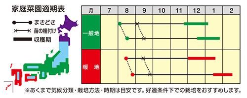 冬のサトウくん - 家庭de菜園～うぇぶたねやさん～
