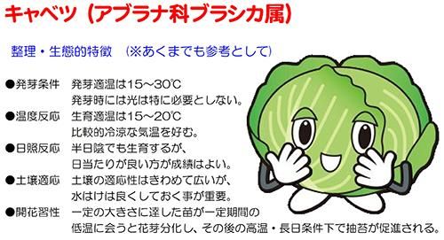 冬のサトウくん - 家庭de菜園～うぇぶたねやさん～