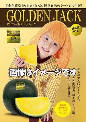 3Xゴールデンジャック（シードレス西瓜） - 家庭de菜園～うぇ