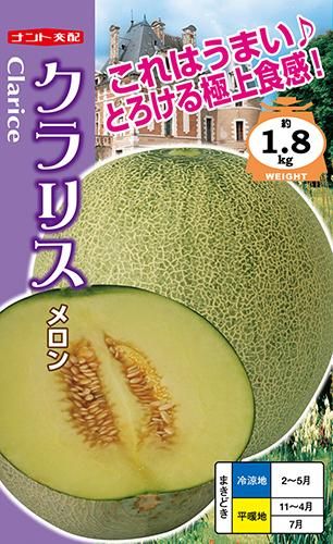 楽天市場】クラリスメロン メロン めろん 4～6玉 約5kg 茨城県産
