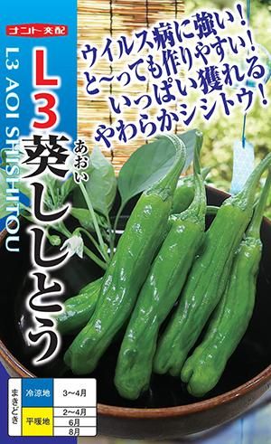 L3葵ししとう エルサンあおい 家庭de菜園 うぇぶたねやさん L3葵ししとう エルサンあおい 家庭de菜園 うぇぶたねやさん