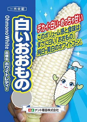 白いおおもの ホワイト系スーパースィート 家庭de菜園 うぇぶたねやさん