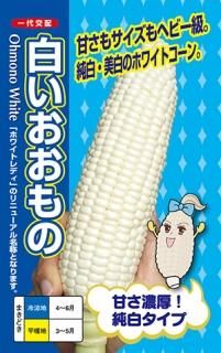 トウモロコシのある静物 ジャン・ジャンセン 『とうもろこしのある静物』 ｜骨董品買取