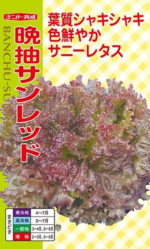 サニーレタス様 Amazon | トーホク サニーレタス | 野菜