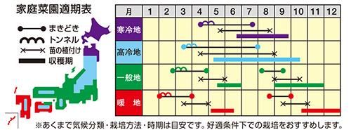 サンレッド 家庭de菜園 うぇぶたねやさん