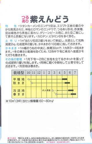 紫えんどう ツタンカーメン 実エンドウ 家庭de菜園 うぇぶたねやさん