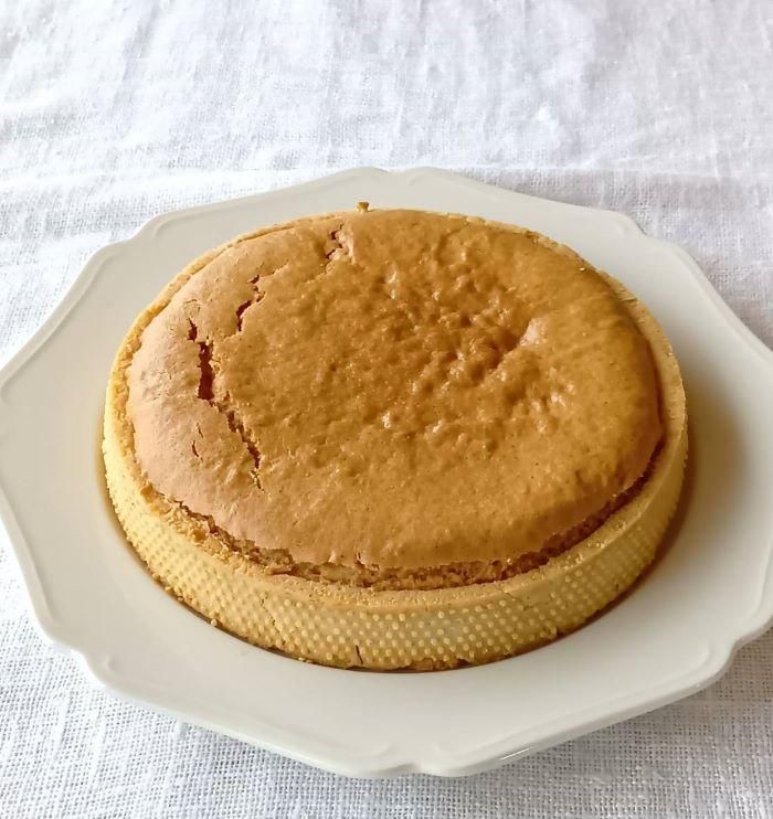 ƥե꡼ 󥿥  ľ15cm륮긶8Ի  gluten free tart