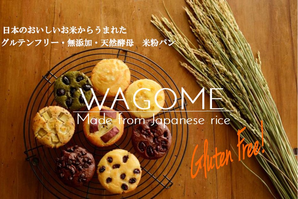 WAGOME 国産コシヒカリ100％米粉使用 グルテンフリー 無添加 天然酵母