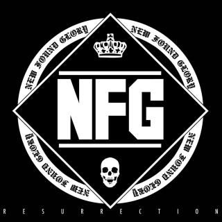 T*M様 New Found Glory LP 新品シールド T*M様 New Found Glory LP 新品シールド New Found Glory Vinyl